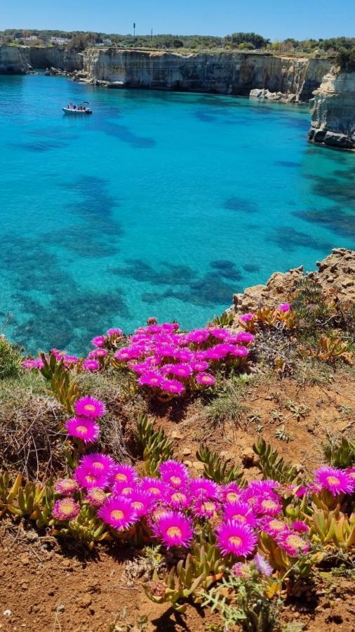 Casa Vacanze Afea Torre Dell'Orso Salento Puglia Eksteriør bilde